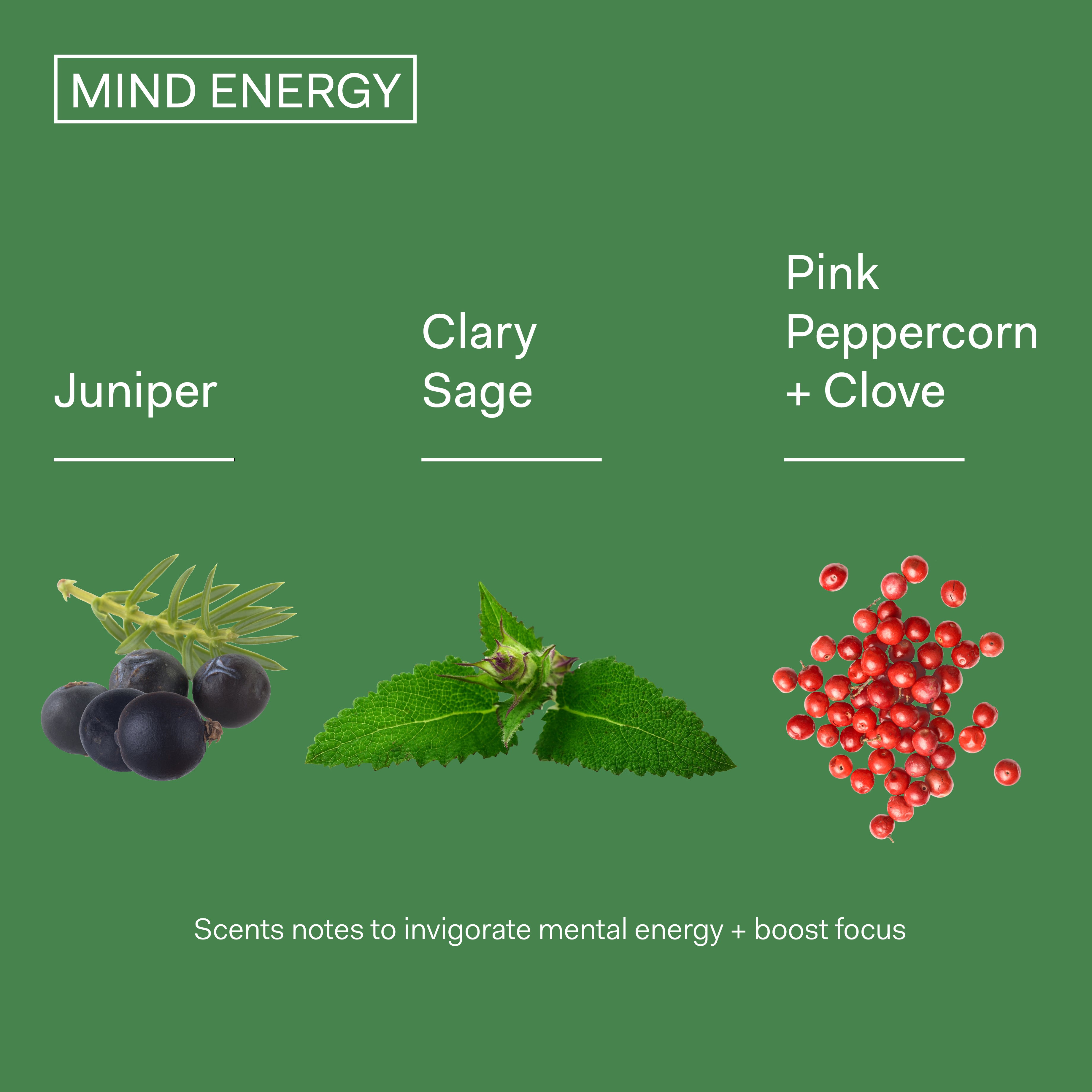 MIND ENERGY