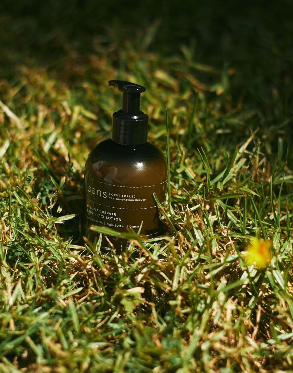 Cellular Repair Body + Face Lotion