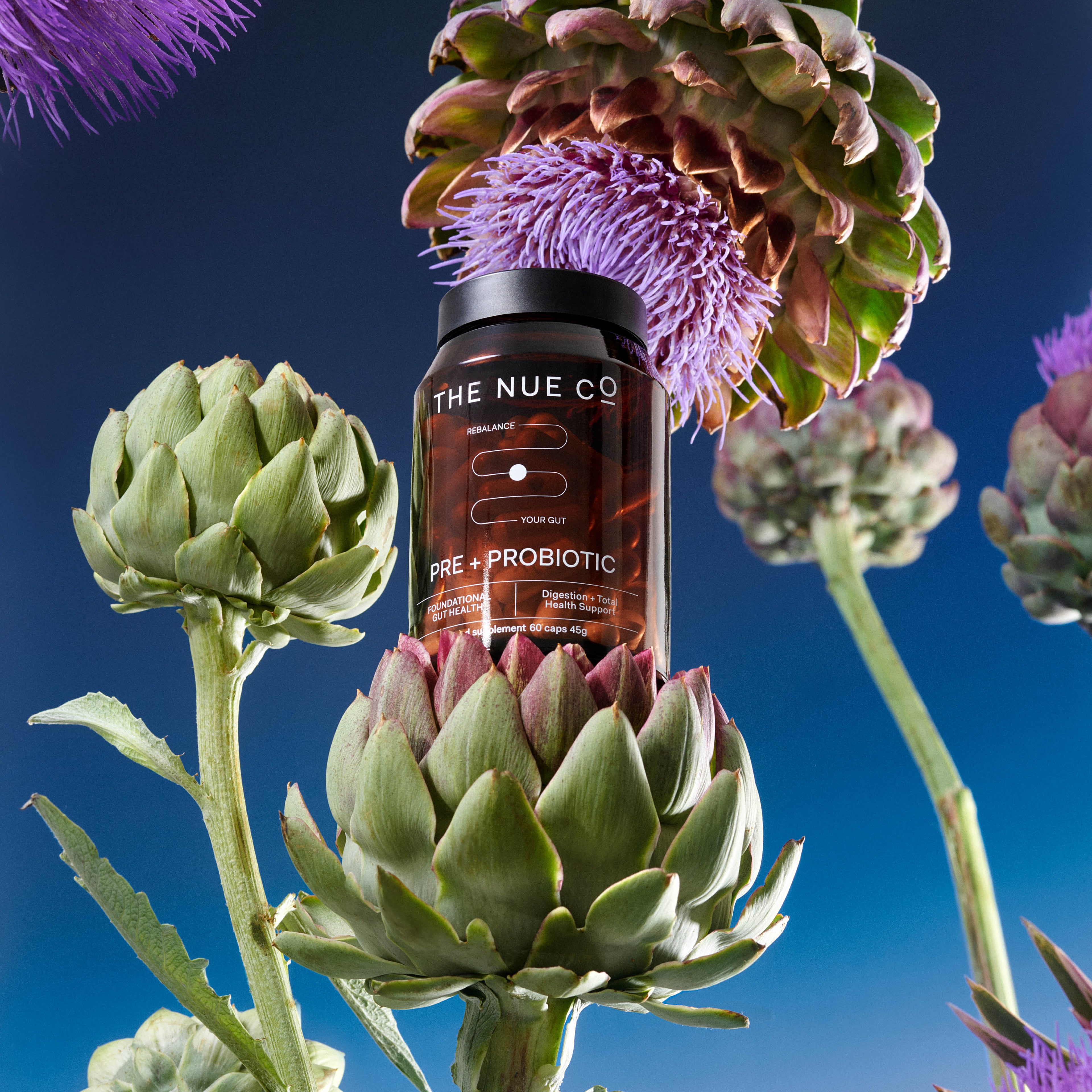 PREBIOTIC + PROBIOTIC