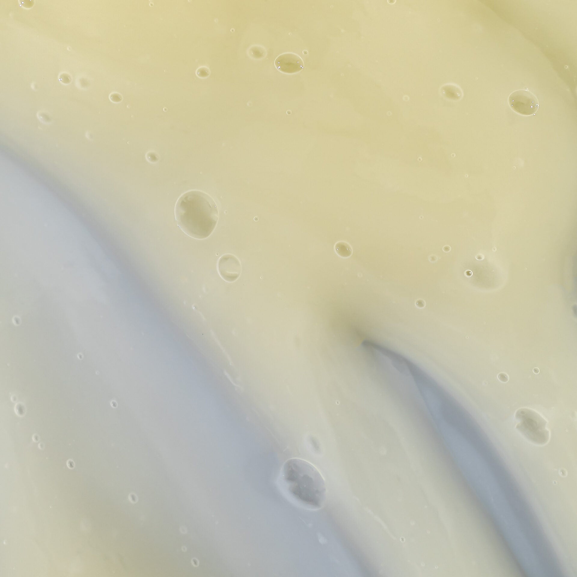 Bio+ Energiser Shampoo