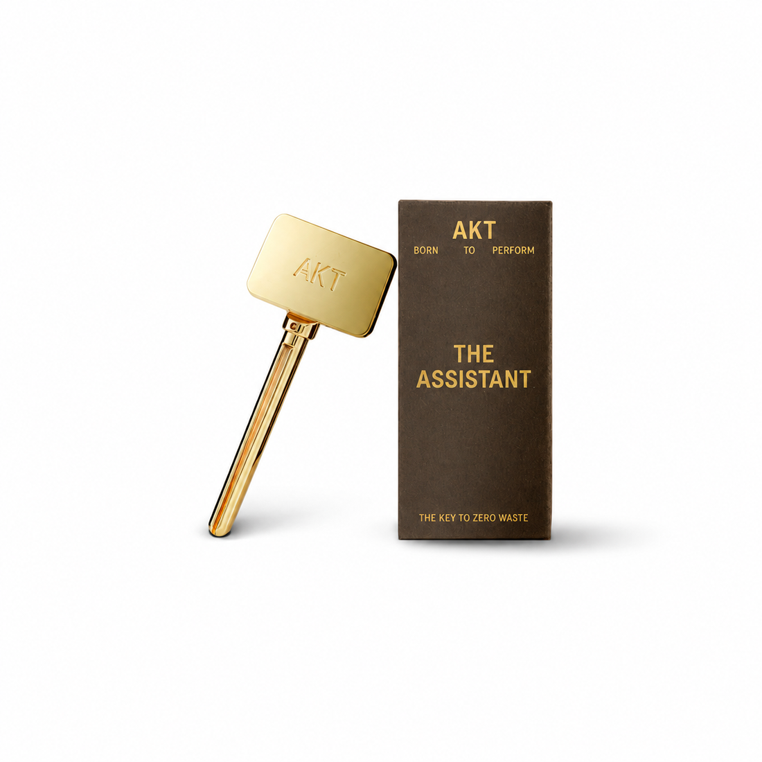 The Assistant