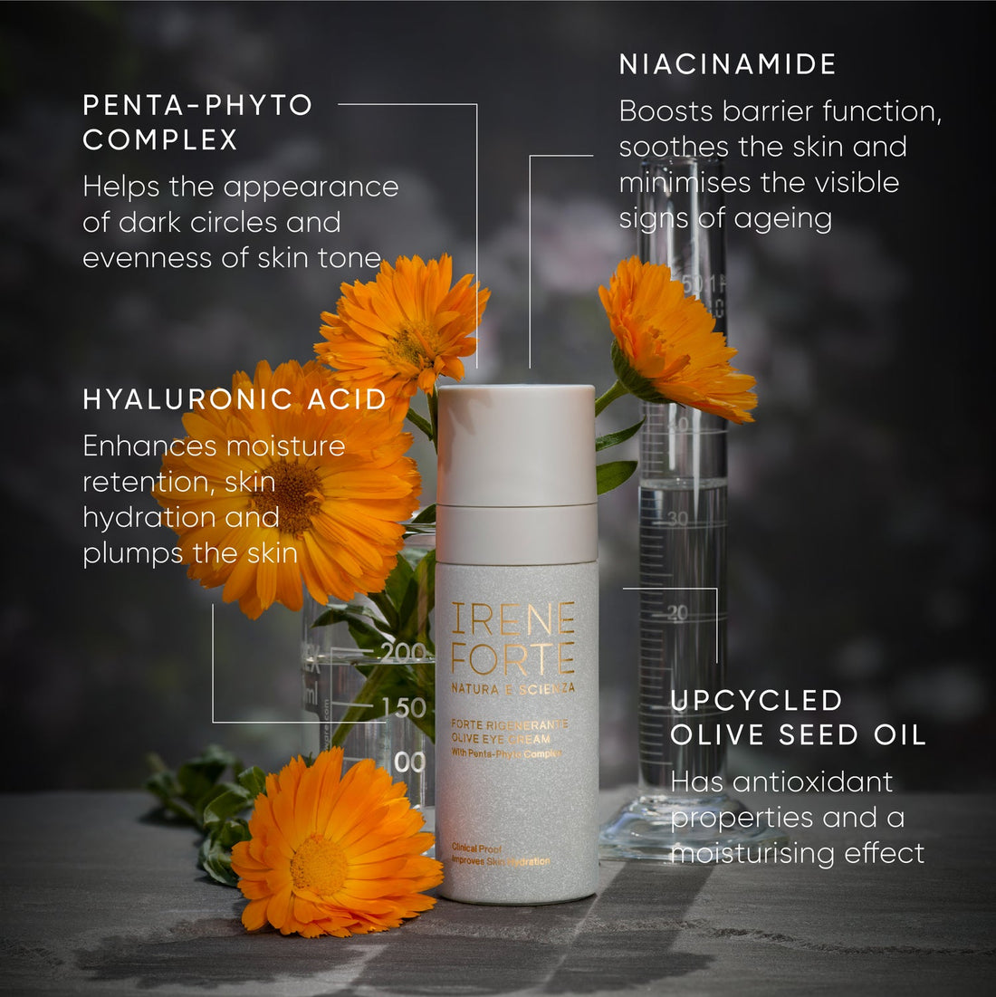Olive Eye Cream