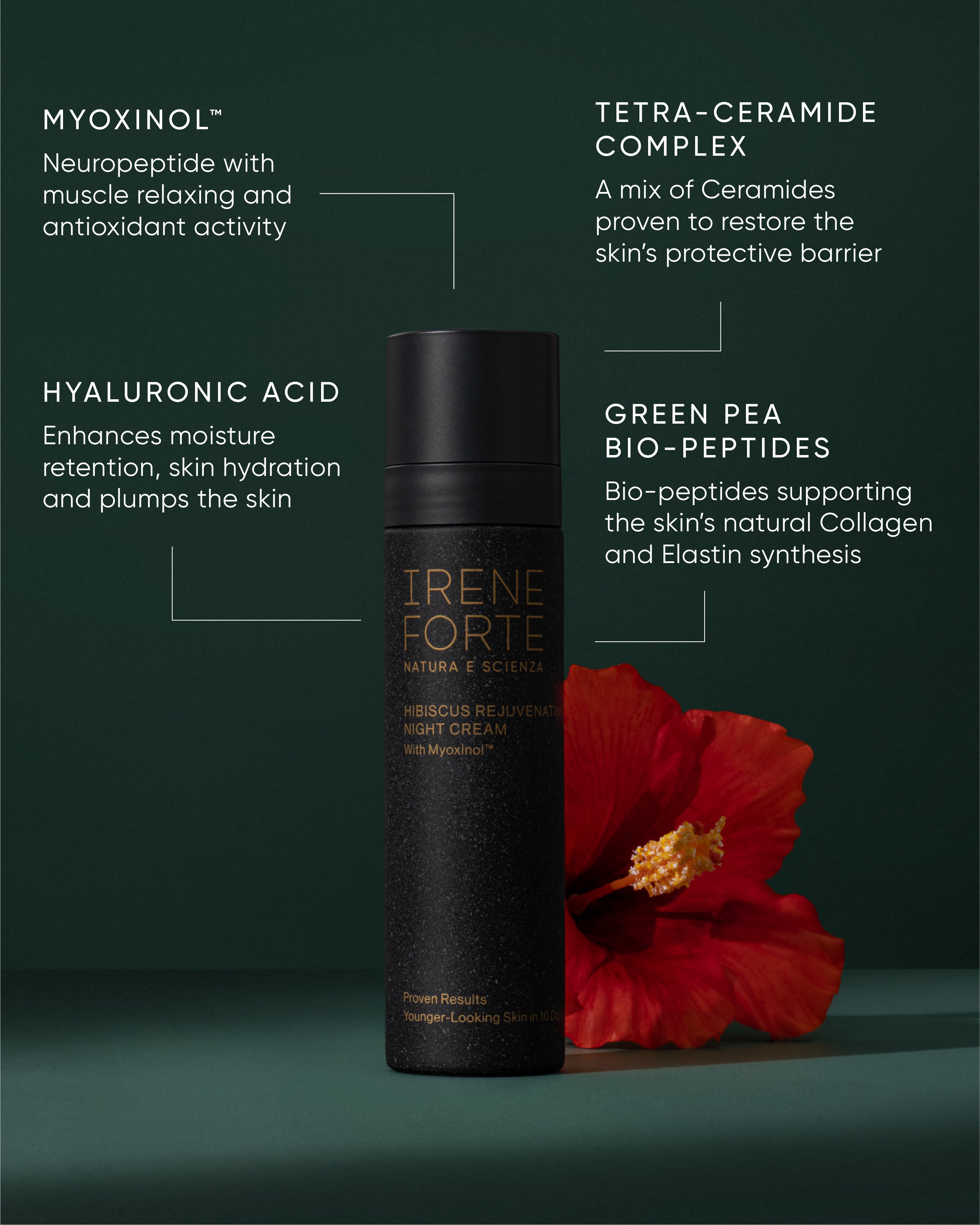 Hibiscus Rejuvenating Night Cream