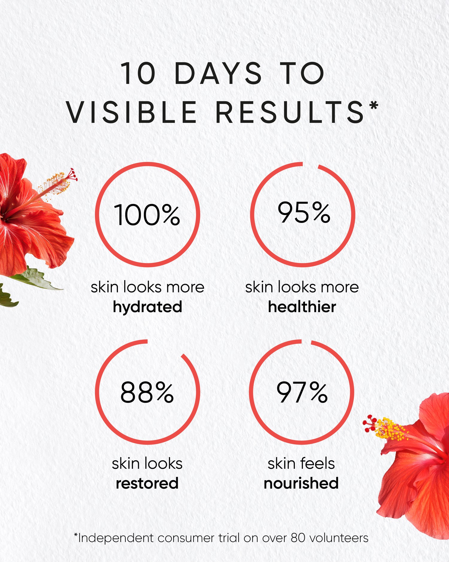 Hibiscus Rejuvenating Night Cream