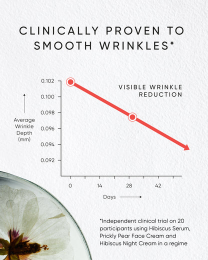Hibiscus Rejuvenating Night Cream