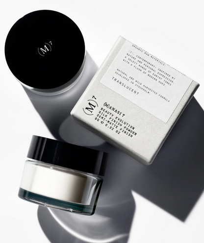 Silk Finish Powder - Translucent